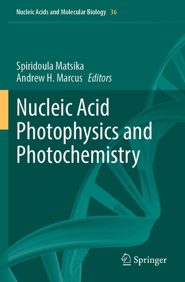 Spiridoula Matsika, Andrew H. Marcus - Nucleic Acid Photophysics and Photochemistry, Häftad
