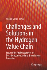 bokomslag Challenges and Solutions in the Hydrogen Value Chain