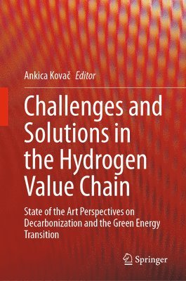 bokomslag Challenges and Solutions in the Hydrogen Value Chain