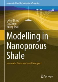 bokomslag Modelling in Nanoporous Shale