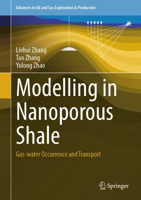 Liehui Zhang, Tao Zhang, Yulong Zhao - Modelling in Nanoporous Shale, Inbunden