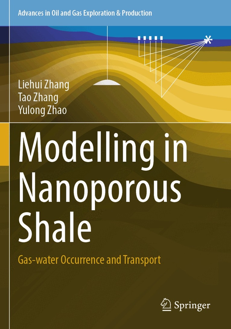 Liehui Zhang, Tao Zhang, Yulong Zhao - Modelling in Nanoporous Shale, Häftad. Tillgänglighet: Lägg i varukorg