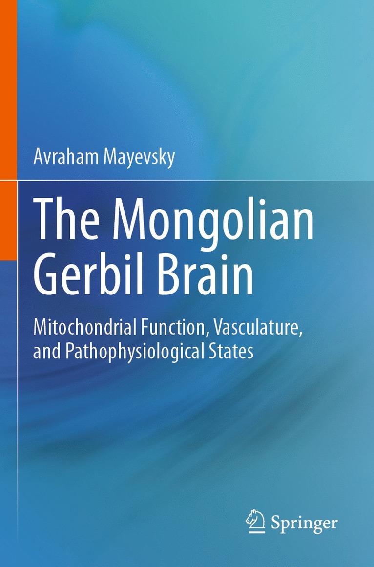 Mongolian Gerbil Brain