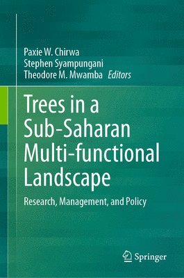Paxie W. Chirwa, Stephen Syampungani, Theodore M. Mwamba - Trees in a Sub-Saharan Multi-functional Landscape, Inbunden