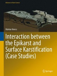 bokomslag Interaction between the Epikarst and Surface Karstification (Case Studies)