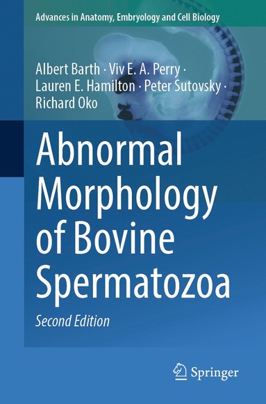 bokomslag Abnormal Morphology of Bovine Spermatozoa