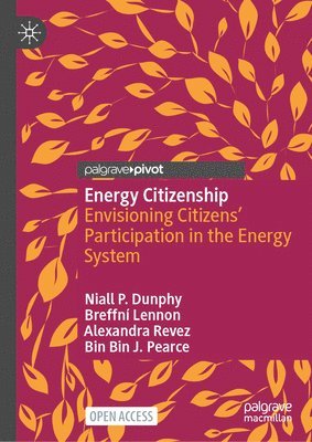 bokomslag Energy Citizenship