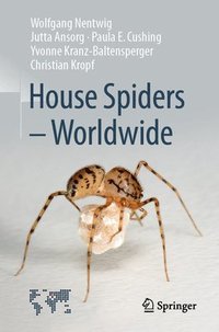 bokomslag House Spiders - Worldwide