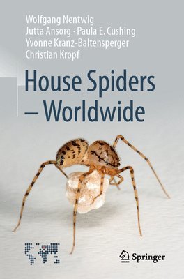 House Spiders - Worldwide 1