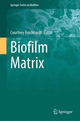 Biofilm Matrix 1