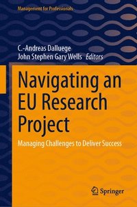 bokomslag Navigating an EU Research Project