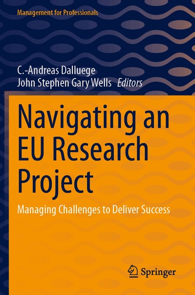C.-Andreas Dalluege, John Stephen Gary Wells - Navigating an EU Research Project, Häftad