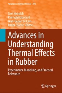 bokomslag Advances in Understanding Thermal Effects in Rubber