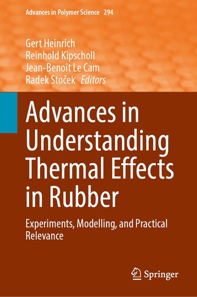 Gert Heinrich, Reinhold Kipscholl, Jean-Benoît Le Cam, Radek Stoček - Advances in Understanding Thermal Effects in Rubber, Inbunden