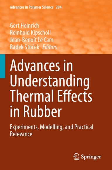 Gert Heinrich, Reinhold Kipscholl, Jean-Benoît Le Cam, Radek Stoček - Advances in Understanding Thermal Effects in Rubber, Häftad