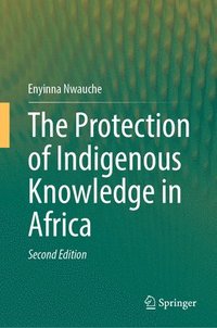bokomslag Protection of Indigenous Knowledge in Africa