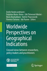 bokomslag Worldwide Perspectives on Geographical Indications