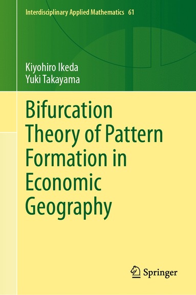 bokomslag Bifurcation Theory of Pattern Formation  in Economic Geography