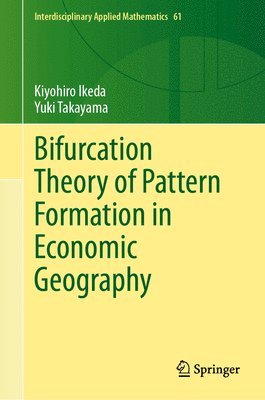 Kiyohiro Ikeda, Yuki Takayama - Bifurcation Theory of Pattern Formation  in Economic Geography, Inbunden