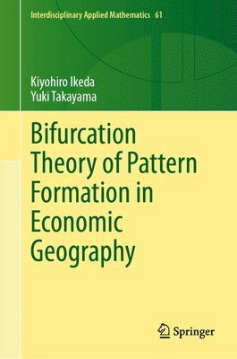 Bifurcation Theory of Pattern Formation  in Economic Geography 1