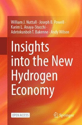 bokomslag Insights into the New Hydrogen Economy