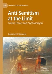 bokomslag Anti-Semitism at the Limit