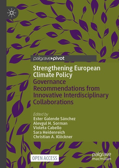 Ester Galende Sánchez, Alevgul H. Sorman, Violeta Cabello, Sara Heidenreich, Christian A. Klöckner - Strengthening European Climate Policy, Häftad