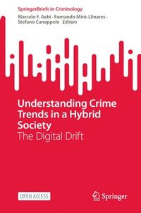 bokomslag Understanding Crime Trends in a Hybrid Society