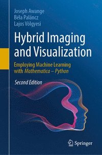 bokomslag Hybrid Imaging and Visualization