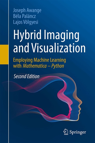 Joseph Awange, Béla Paláncz, Lajos Völgyesi - Hybrid Imaging and Visualization, Inbunden