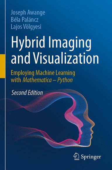 Joseph Awange, Béla Paláncz, Lajos Völgyesi - Hybrid Imaging and Visualization, Häftad