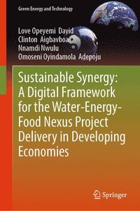 bokomslag Sustainable Synergy: A Digital Framework for the Water-Energy-Food Nexus Project Delivery in Developing Economies