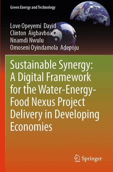 Love Opeyemi David, Clinton Aigbavboa, Nnamdi Nwulu, Omoseni Oyindamola Adepoju - Sustainable Synergy: A Digital Framework for the Water-Energy-Food Nexus Project Delivery in Developing Economies, Häftad
