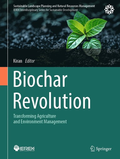 bokomslag Biochar Revolution