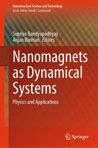 bokomslag Nanomagnets as Dynamical Systems