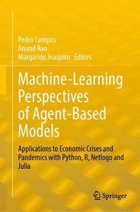 bokomslag Machine-Learning Perspectives of Agent-Based Models: Applications to Economic Crises and Pandemics with Python, R, Netlogo and Julia