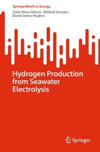 bokomslag Hydrogen Production from Seawater Electrolysis