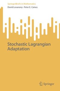 bokomslag Stochastic Lagrangian Adaptation