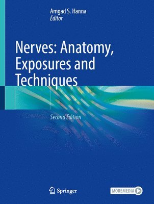 bokomslag Nerves: Anatomy, Exposures and Techniques