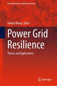 bokomslag Power Grid Resilience