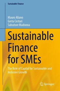 bokomslag Sustainable Finance for SMEs