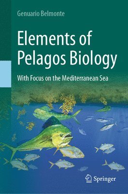 bokomslag Elements of Pelagos Biology
