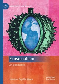 bokomslag Ecosocialism