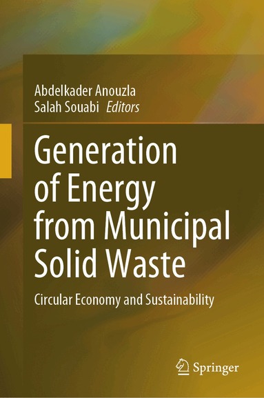 Abdelkader Anouzla, Salah Souabi - Generation of Energy from Municipal Solid Waste, Inbunden
