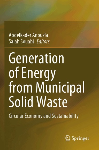 Abdelkader Anouzla, Salah Souabi - Generation of Energy from Municipal Solid Waste, Häftad