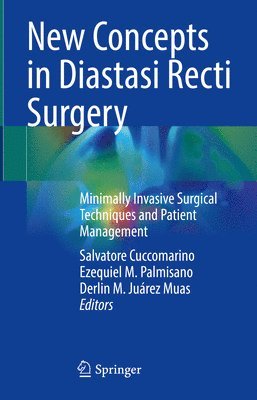 bokomslag New Concepts in Diastasi Recti Surgery