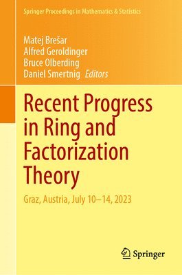 bokomslag Recent Progress in Ring and Factorization Theory