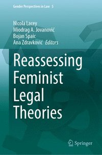 bokomslag Reassessing Feminist Legal Theories