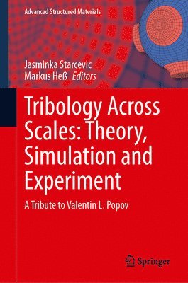 Tribology Across Scales: Theory, Simulation and Experiment 1