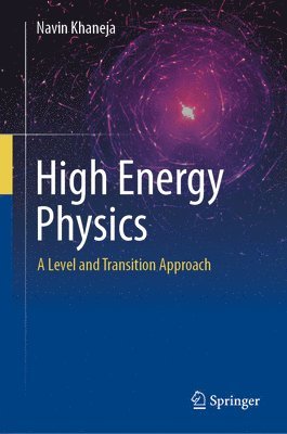 bokomslag High Energy Physics